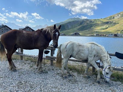 Equestrian Center Du Corbier, Centre Equestres à Villarembert