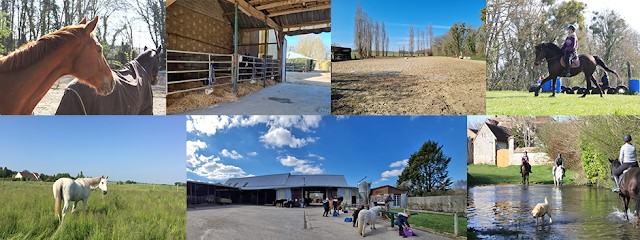 Ecurie des 2R, Centre Equestres à Thorigny-sur-Oreuse