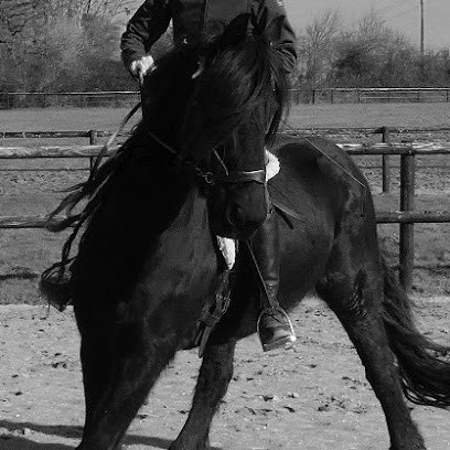 Pension Chevaux - Le Domaine De Fee, Pension pour Chevaux à Ouilly-du-Houley