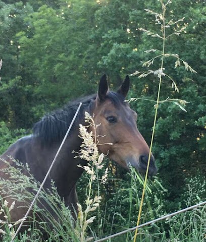 Centre Equestre de Moncley, Centre Equestres à Moncley