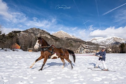 Les Attelages Fayençois, Pension pour Chevaux à Fayence