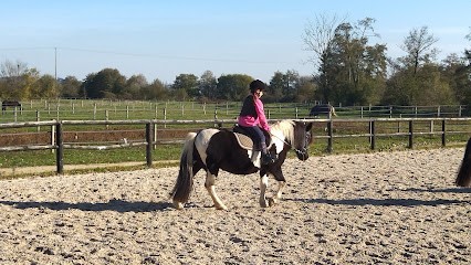Stud De La Pelois Equestrian Center - Sport Étude, Centre Equestres à Saint-Martin-des-Monts