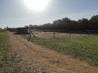 Écurie des Rieux, Pension pour Chevaux au Pouget
