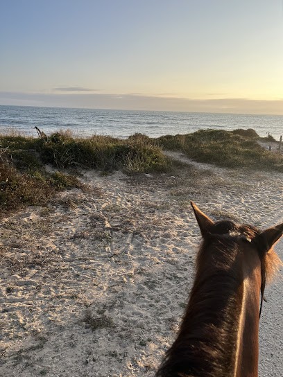 LES TREMIERES, Centre Equestres à Saint-Pierre-d'Oléron