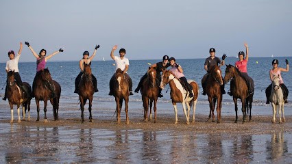 Centre Equestre Du Fano Et équicoaching, Centre Equestres à Nivillac