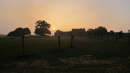 Écurie Des Fougerets, Pension pour Chevaux à Morée