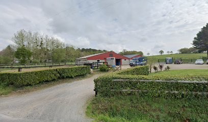 Élevage Gilles Défontaine, Pension pour Chevaux à Saint-Laurent-sur-Oust