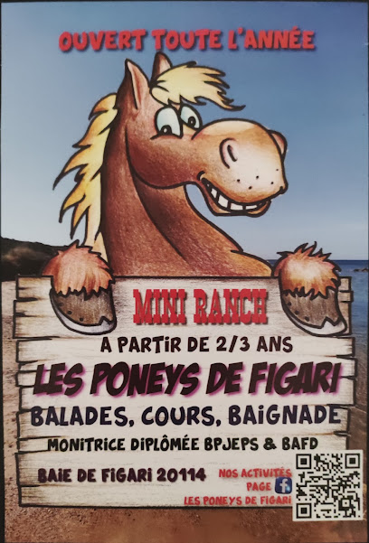Mini Ranch - Les Poneys De Figari, Centre Équestre à Figari