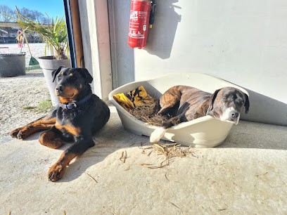 Haras De Beauvallon, Centre Equestres à Saint-Sauveur-d'Aunis