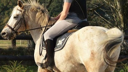 Ecurie My'den, Pension pour Chevaux à Auppegard