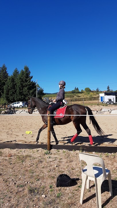 Pension pour chevaux du Moulin Juste, Pension pour Chevaux à Ambierle