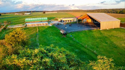 Écurie du Rougy, Centre Equestres à Frolois