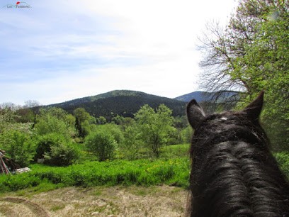 Les Paddocks, Centre Equestres à Vollore-Montagne