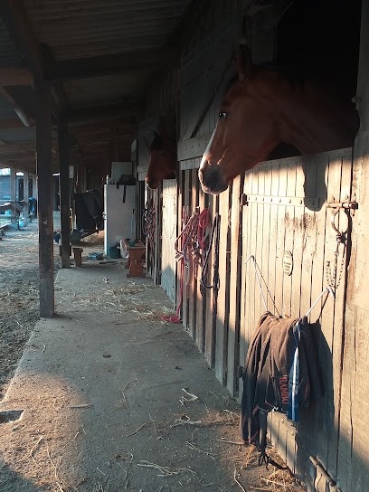ECURIES DE LAVALETTE, Centre Equestres à Lavalette