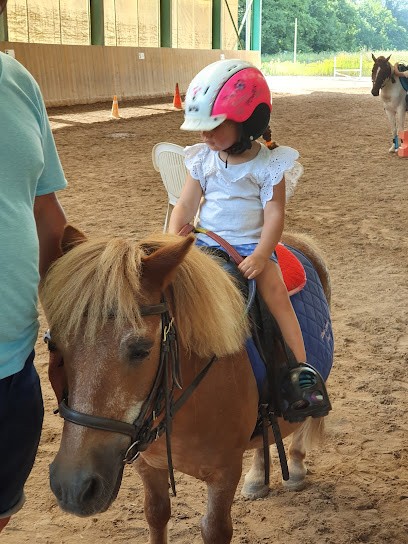 Stalls Des Frênes, Centre Equestres à Douvaine