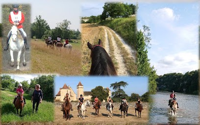 Chevaux Du Causse - Randonnées équestres, Elevage Pintabian, Centre Equestres à Lentillac-du-Causse