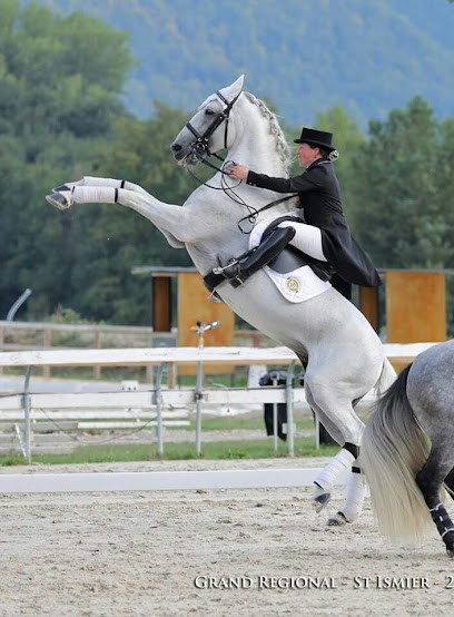 Les Chevaux D'edoras, Centre Equestres à Chichilianne