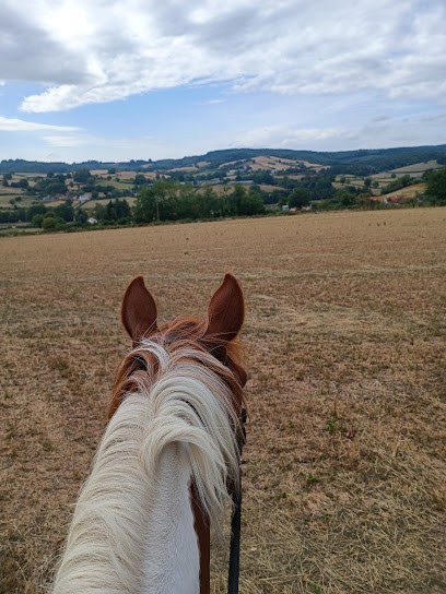Tout Crin, Centre Equestres à Mhère
