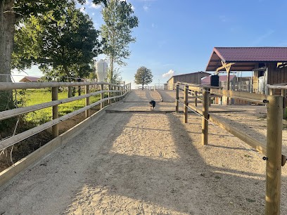 Le P'tit Haras, Centre Equestres à Graimbouville
