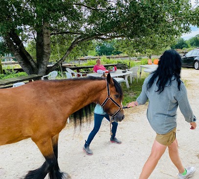 Ferme Équestre Du K Rouge, Centre Equestres à Vitry-aux-Loges
