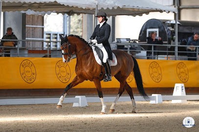 Halliers Dressage, Centre Equestres à Volesvres