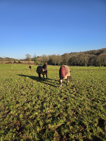 Haras D'halwiry, Centre Équestre à Guiscriff