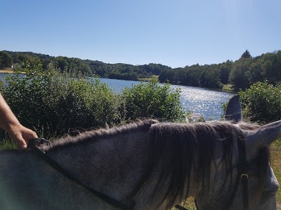 Horse Farm Du Bois Vieux, Centre Equestres à Vigeois