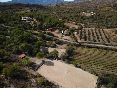 Equestrian Field Des Escoumettes, Centre Equestres à Opoul-Périllos