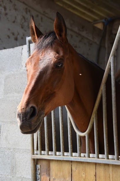 ECURIES ST FERREOL, Centre Equestres à Chis