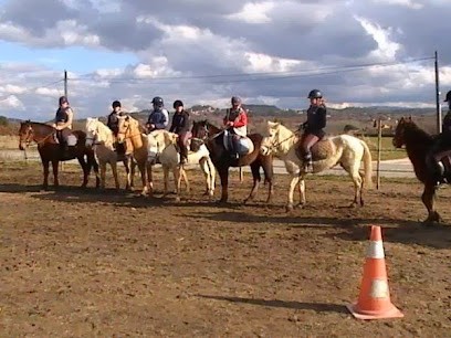 Horse Farm De Joucas, Centre Equestres à Joucas
