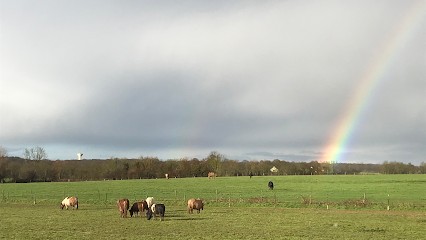 Ferme Des 3 Allures, Pension pour Chevaux à Serley