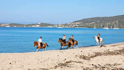 Stalls Le Golfe - Scuderie U Golfu, Centre Equestres à Olmeto
