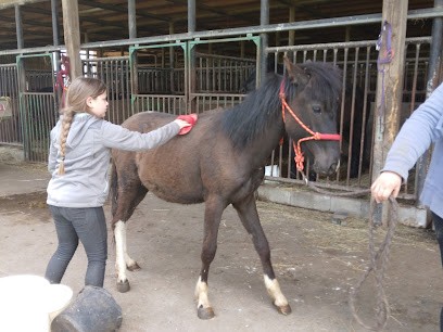Écurie Du Limbach, Centre Equestres à Voellerdingen