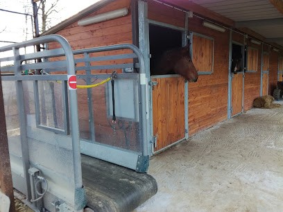 Equiform, Pension pour Chevaux à Nort-sur-Erdre