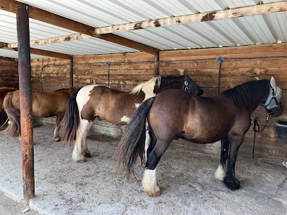 Farm Equestre Hippocamp', Centre Equestres à Lempzours