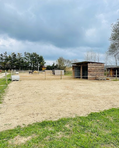 Les Ecuries De La Clape, Pension pour Chevaux à Armissan