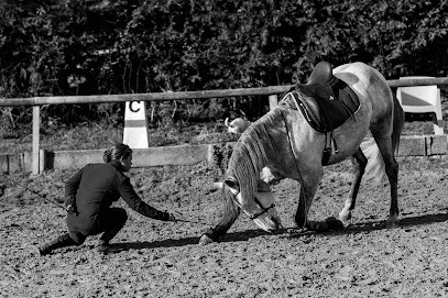Domaine Equestre des Alouettes, Centre Equestres aux Herbiers