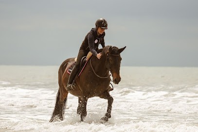 Écurie Alice DUBERT, Centre Equestres à Hauteville-sur-Mer