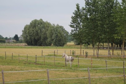 Écurie des Aulnaies, Pension pour Chevaux à Neuillé