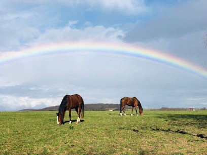 Sauvage Géraldine, EARL des trois chênes., Pension pour Chevaux à Chasse-sur-Rhône