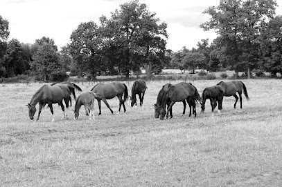 Ecurie Marblésienne, Centre Equestres à Saint-Marc-le-Blanc