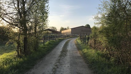 Ecurie De L'allaine, Centre Equestres à Thiancourt