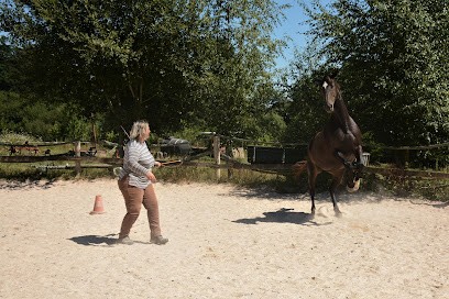 Ecurie de l'Etrat, Centre Equestres à Corseul