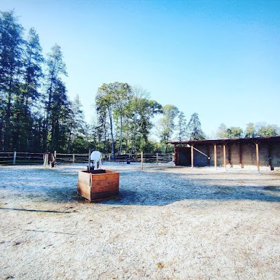 Ecurie Equi-nature'RL, Pension pour Chevaux à La Chaussée-sur-Marne