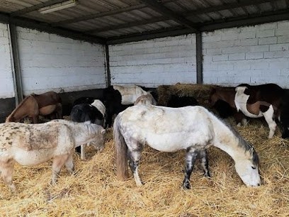 ECURIE CYRILLE NOIZAT, Centre Equestres à Saint-Doulchard