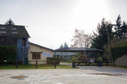ETRIER WALLON, Centre Equestres à Poilly-lez-Gien
