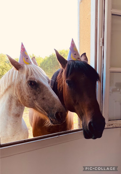Le Domaine D'ursindia Pension Pour Chevaux à Hostens