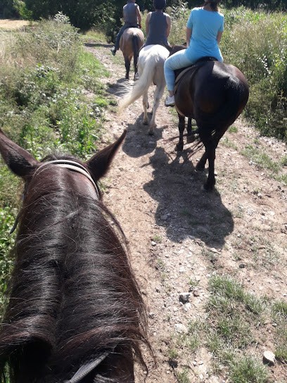 La Equestrian Farm Le Rocher, Centre Equestres à Buissard