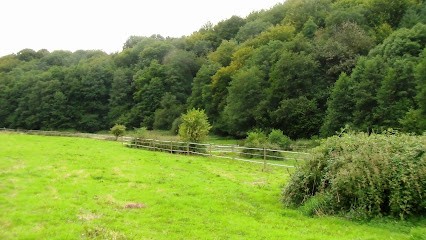 Haras De La Rillegatte, Pension pour Chevaux à Quetteville