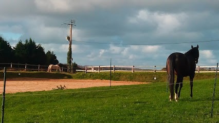 Earl Ecurie De Bruneval, Centre Equestres à Saint-Jouin-Bruneval